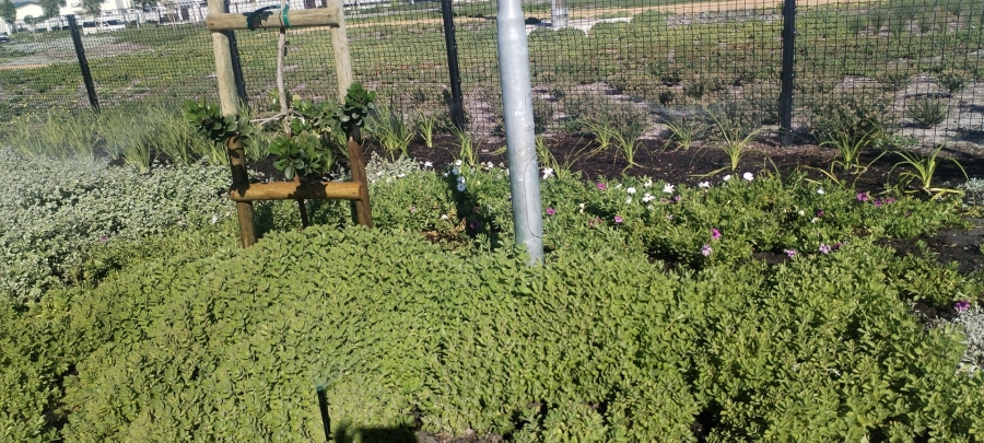 4 Bedroom Property for Sale in Sandown Western Cape